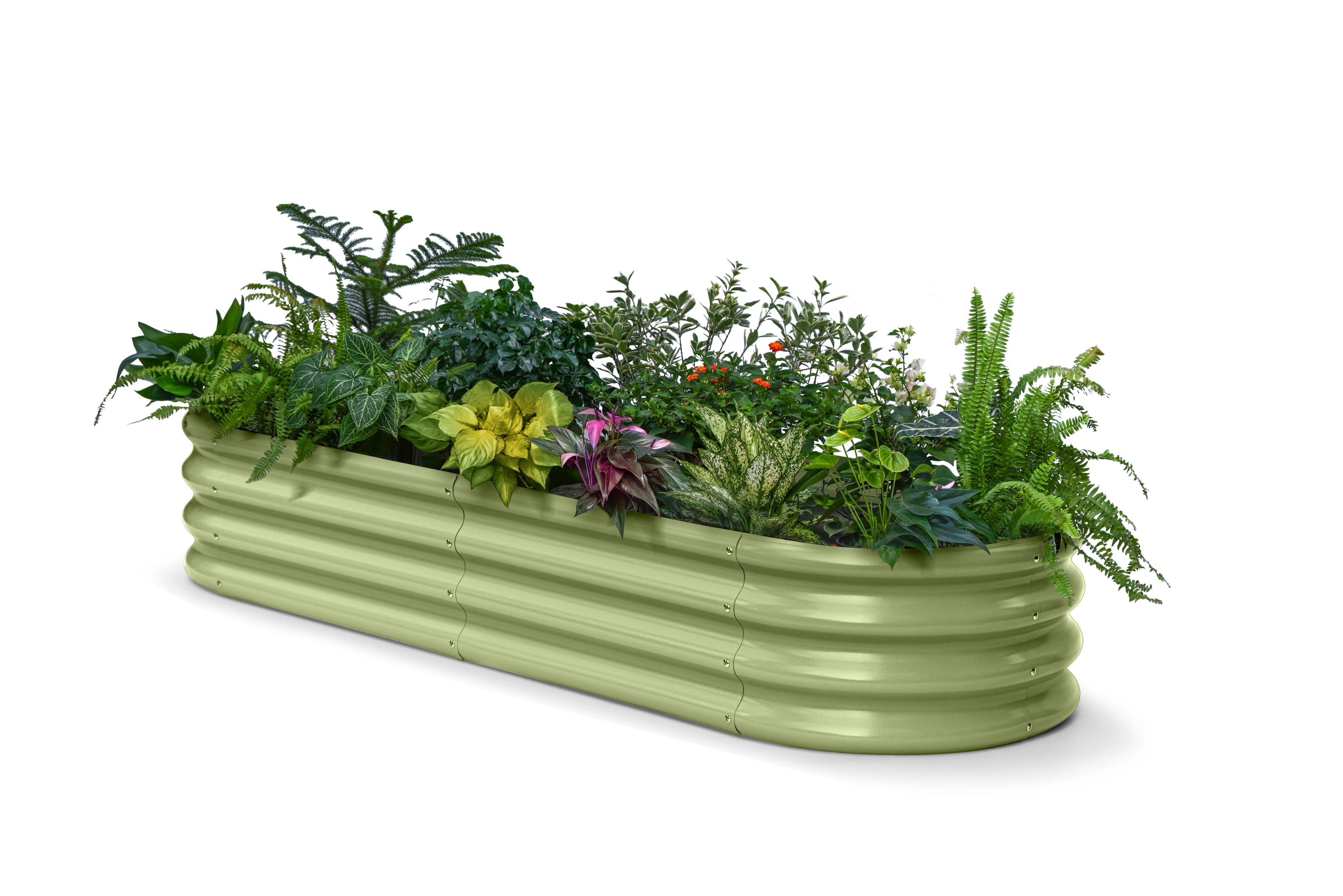 Annoell Galvanized Raised Garden Bed 6x2x1ft - 12" Tall Metal Planter Box Small Flower Bed for Balcony with Durable Steel & Rot Resistant - Moss Green