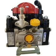 Annovi Reverberi AR30-SP Diaphragm Pump - Semi-Hydraulic Two Diaphragm Pump