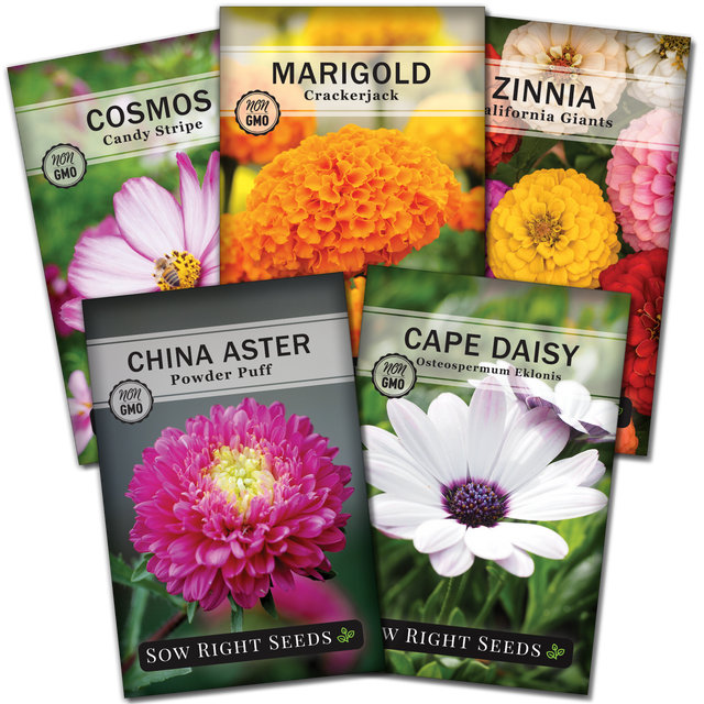Annual Flower Garden Seed Collection Non GMO Varieties 5 Count