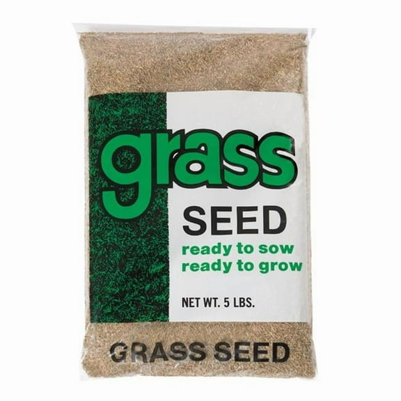 Annual Ryegrass Grass Seed, 5 lbs