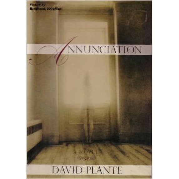 Pre-Owned Annunciation 9780395680919 Used