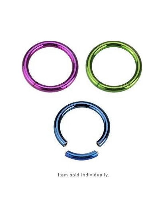 Anodized Titanium over Surgical Steel Seamless Segment Ring Nose Ear Lip Nipple