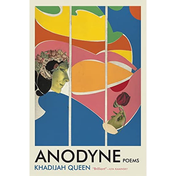 Pre-Owned Anodyne (Paperback) 1947793802 9781947793804