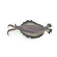 thumbnail image 1 of Anomalocaris, Toy, Prehistoric, Fossil, Arthropods, Realistic Rubber Figure, Model, Educational, Animal, Hand Painted Figurines, 7" CH047 BB77, 1 of 8