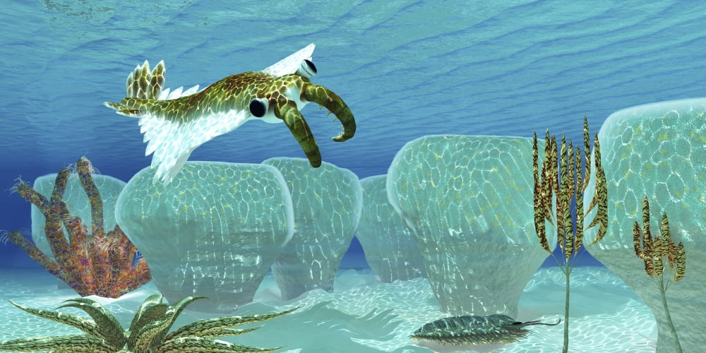 Anomalocaris sneaks up on a Trilobite in Cambrian seas Canvas Art - Corey FordStocktrek Images (20 x 10)