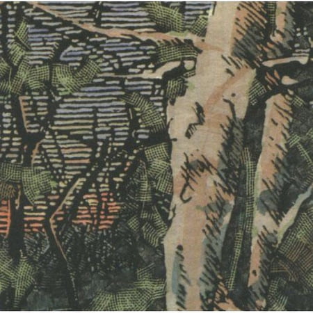 Anomoanon - Asleep Many Years in the Wood - Music & Performance - CD
