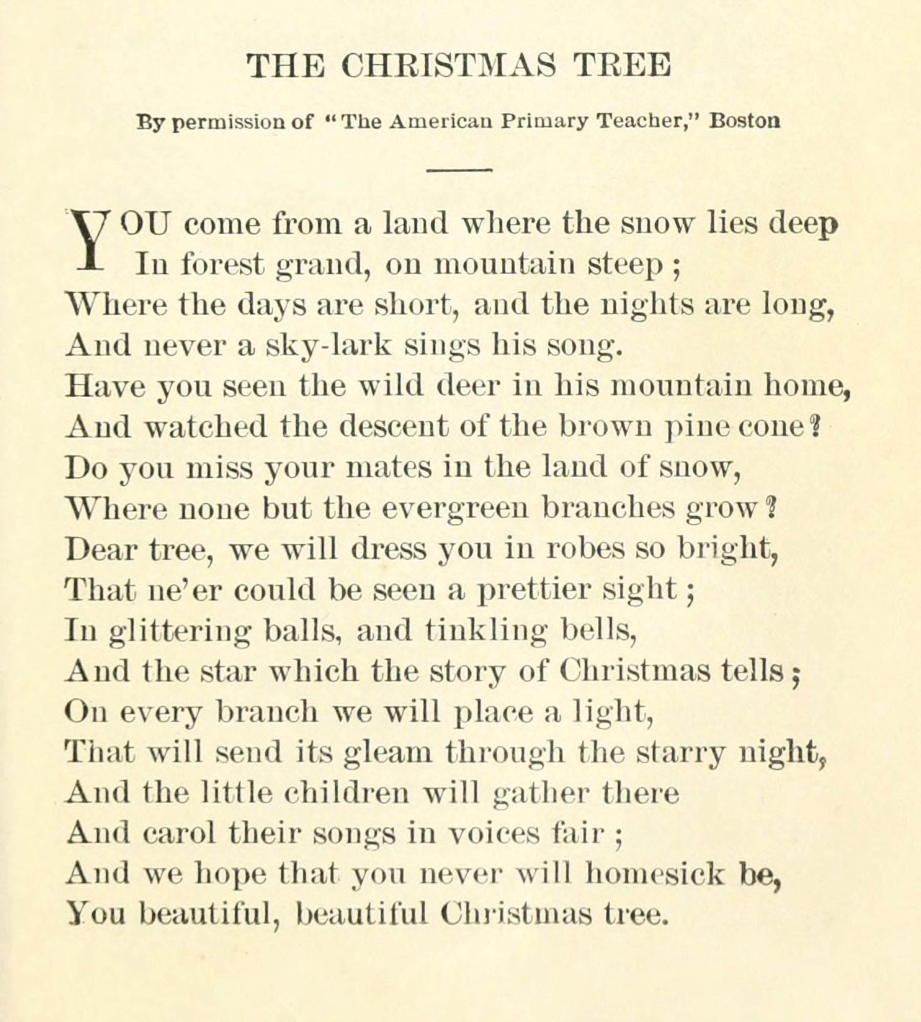 Anon Christmas Selections 1906 The Christmas Tree Canvas Art - Anon (18 x 24)