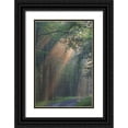 thumbnail image 1 of Anon, Ellen 11x14 Black Ornate Wood Framed with Double Matting Museum Art Print Titled - PA, Light rays streaming through a forest, 1 of 4