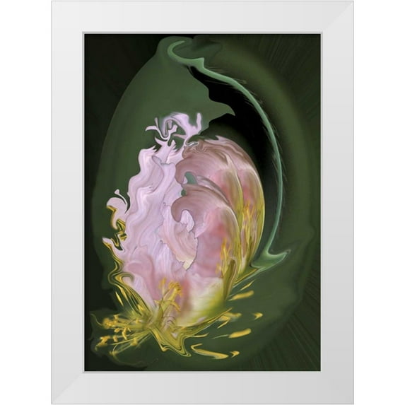 Anon, Ellen 11x14 White Modern Wood Framed Museum Art Print Titled - Abstract flowers, digitally manipulated