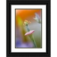 thumbnail image 1 of Anon, Ellen 17x24 Black Ornate Wood Framed with Double Matting Museum Art Print Titled - California, Poppy flower without petals, 1 of 4