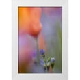 thumbnail image 1 of Anon, Ellen 17x24 White Modern Wood Framed Museum Art Print Titled - California, Abstract of poppies and gilia flowers, 1 of 4