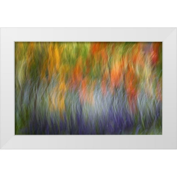 Anon, Ellen 18x13 White Modern Wood Framed Museum Art Print Titled - Canada Abstract blur of garden colors