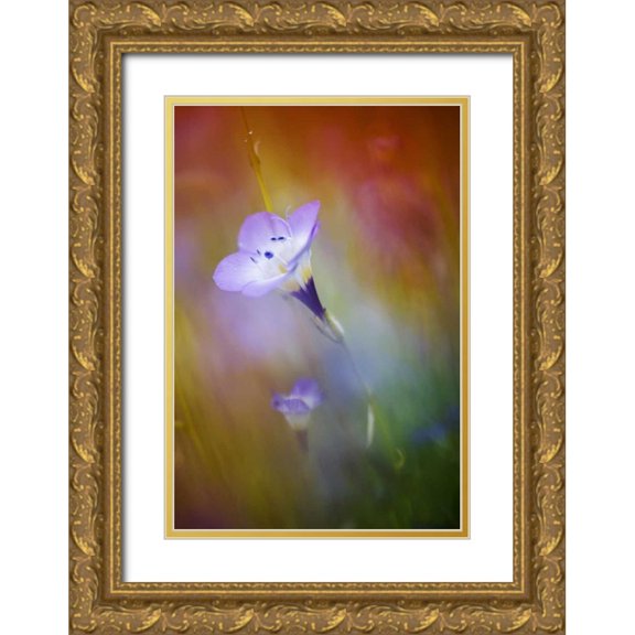 Anon, Ellen 18x24 Gold Ornate Wood Framed with Double Matting Museum Art Print Titled - California, Abstract of gilia amidst flowers