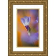 thumbnail image 1 of Anon, Ellen 20x32 Gold Ornate Wood Framed with Double Matting Museum Art Print Titled - California, Antelope Valley, Gilia flower, 1 of 4