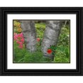 thumbnail image 1 of Anon, Ellen 24x19 Black Ornate Wood Framed with Double Matting Museum Art Print Titled - Canada, New Brunswick Birch tree and flowers, 1 of 4