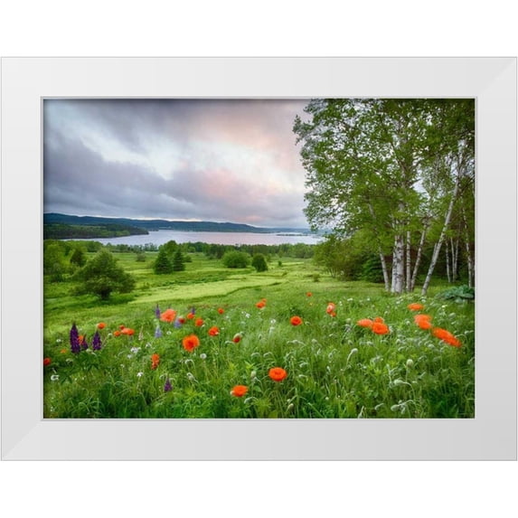 Anon, Ellen 24x19 White Modern Wood Framed Museum Art Print Titled - Canada, New Brunswick Landscape of meadow