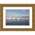 thumbnail image 1 of Anon, Josh 18x13 Gold Ornate Wood Framed with Double Matting Museum Art Print Titled - Japan, Hokkaido, Teshikaga Whooper swans rest, 1 of 4