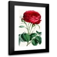 thumbnail image 1 of Anonymous 10x14 Black Modern Framed Museum Art Print Titled - Rose, Duchess of Norfolk (1852-1861), 1 of 5