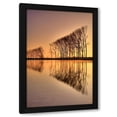 thumbnail image 1 of Anonymous 11x14 Black Modern Wood Framed Wall Art Titled - Reflections, 1 of 6