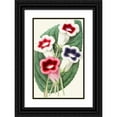 thumbnail image 1 of Anonymous 11x14 Black Ornate Wood Framed Double Matted Museum Art Print Titled: Gloxinias (1852-1861), 1 of 5