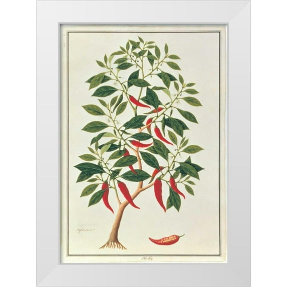 Anonymous 11x14 White Modern Wood Framed Museum Art Print Titled - Chile