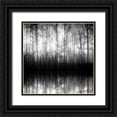 thumbnail image 1 of Anonymous 12x12 Black Ornate Wood Framed with Double Matting Museum Art Print Titled - Forest Mist, 1 of 4