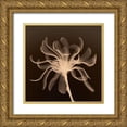 thumbnail image 1 of Anonymous 12x12 Gold Ornate Wood Framed with Double Matting Museum Art Print Titled - Cinnamon Ribbon (sepia), 1 of 4