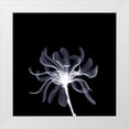 thumbnail image 1 of Anonymous 12x12 White Modern Wood Framed Museum Art Print Titled - White Ribbons, 1 of 4