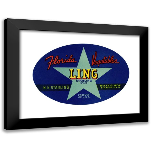 Anonymous 14x11 Black Modern Framed Museum Art Print Titled - Ling Starling Brand Florida Vegetables Label (1930-1950)