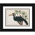 thumbnail image 1 of Anonymous 14x11 Black Ornate Wood Framed with Double Matting Museum Art Print Titled - Ke-ke, Hornbill, 1 of 4