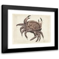 thumbnail image 1 of Anonymous 14x12 Black Modern Framed Museum Art Print Titled - Sea Crab (1560), 1 of 5