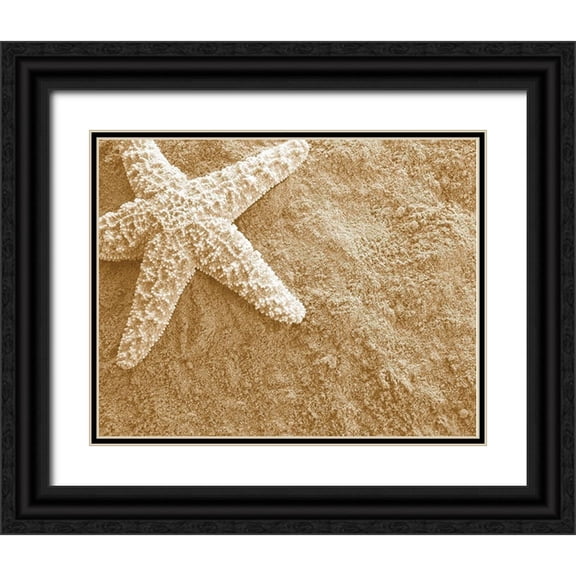 Anonymous 14x12 Black Ornate Wood Framed with Double Matting Museum Art Print Titled - Starfish in the Sand