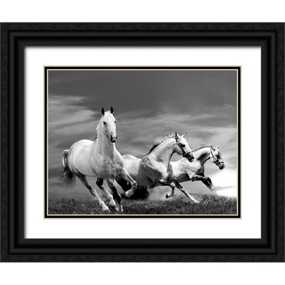 Anonymous 14x12 Black Ornate Wood Framed with Double Matting Museum Art Print Titled - White Stallions