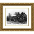 thumbnail image 1 of Anonymous 14x12 Gold Ornate Wood Framed with Double Matting Museum Art Print Titled - Taro fields, Date Palms, Hawaii 1907, 1 of 4