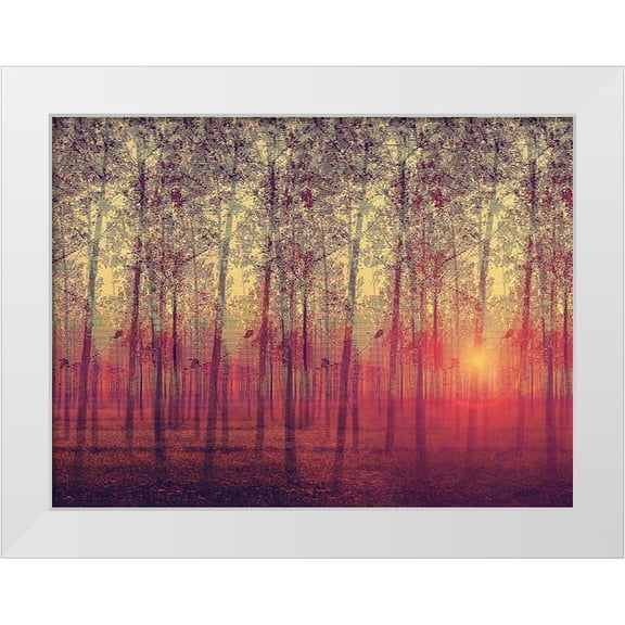 Anonymous 14x12 White Modern Wood Framed Museum Art Print Titled - Poplar Trees in the Setting Sun