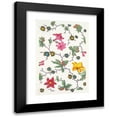thumbnail image 1 of Anonymous 14x18 Black Modern Framed Museum Art Print Titled - Floral Design for Printed Textile Pl XVI (1800-1818), 1 of 5