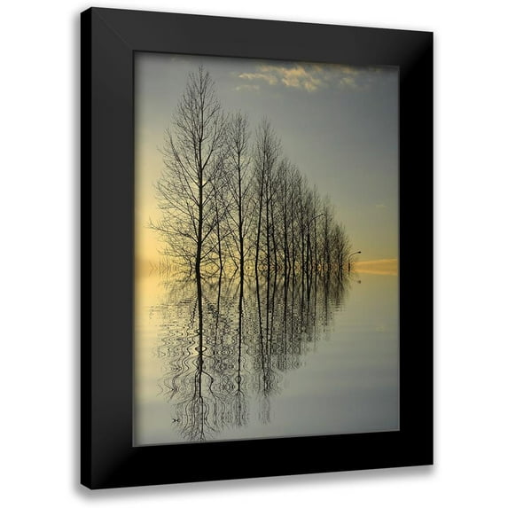 Anonymous 14x18 Black Modern Framed Museum Art Print Titled - Reflections II