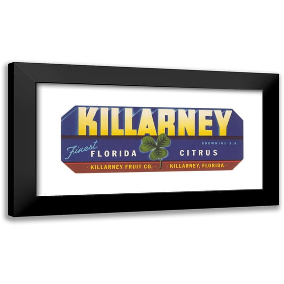 Anonymous 14x8 Black Modern Framed Museum Art Print Titled - Killarney Citrus Label (1930-1950)