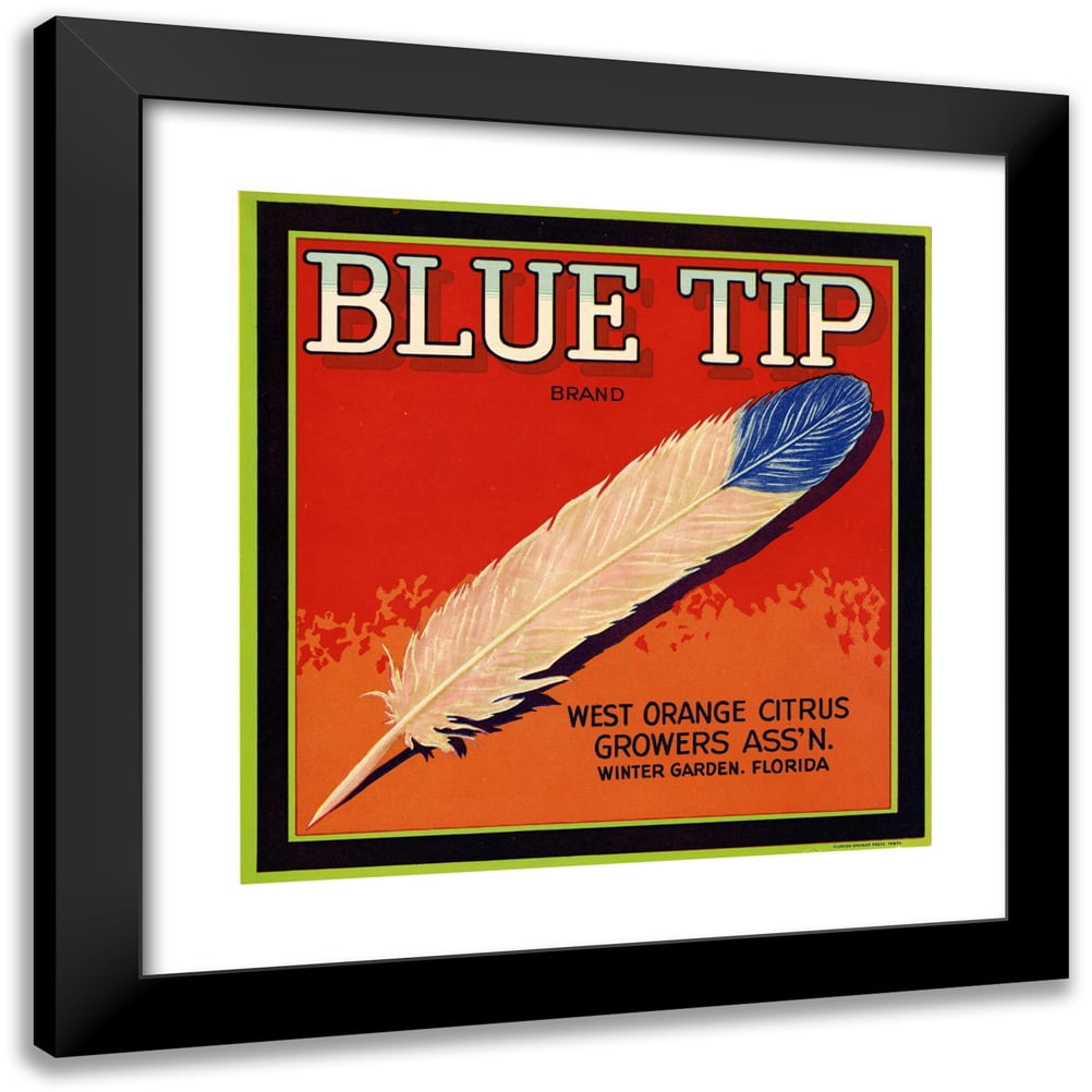 Anonymous 15x15 Black Modern Framed Museum Art Print Titled - Blue Tip ...
