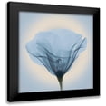 thumbnail image 1 of Anonymous 15x15 Black Modern Framed Museum Art Print Titled - Poppy in Lace, Blue, 1 of 5
