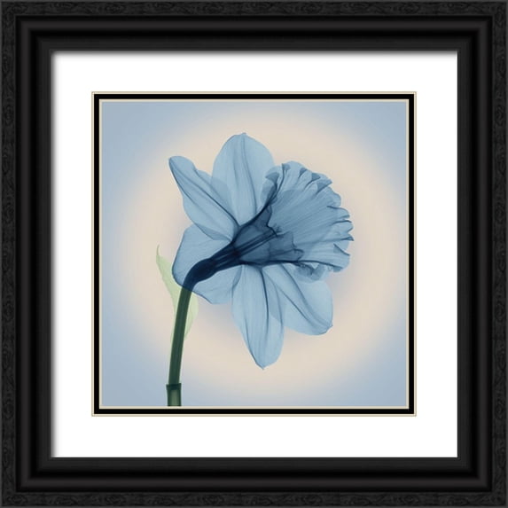 Anonymous 15x15 Black Ornate Wood Framed with Double Matting Museum Art Print Titled - Veiled Blossom, Blue