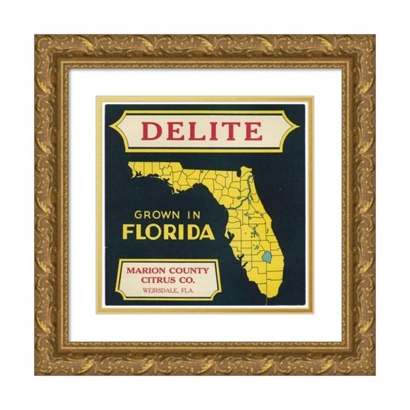 Anonymous 15x15 Gold Ornate Wood Frame and Double Matted Museum Art Print Titled - Citrus Label for Delite - Black and Yellow (1930-1950)