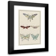 thumbnail image 1 of Anonymous 16x24 Black Modern Framed Museum Art Print Titled - Mounted Natural Butterflies (1913), 1 of 5