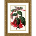 thumbnail image 1 of Anonymous 16x24 Gold Ornate Framed and Double Matted Museum Art Print Titled - Fuchsia Dominiana (1852-1861), 1 of 4
