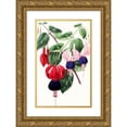 thumbnail image 1 of Anonymous 16x24 Gold Ornate Framed and Double Matted Museum Art Print Titled - Fuchsia - Emperor Napoleon, Venus De Medici (1852-1861), 1 of 4