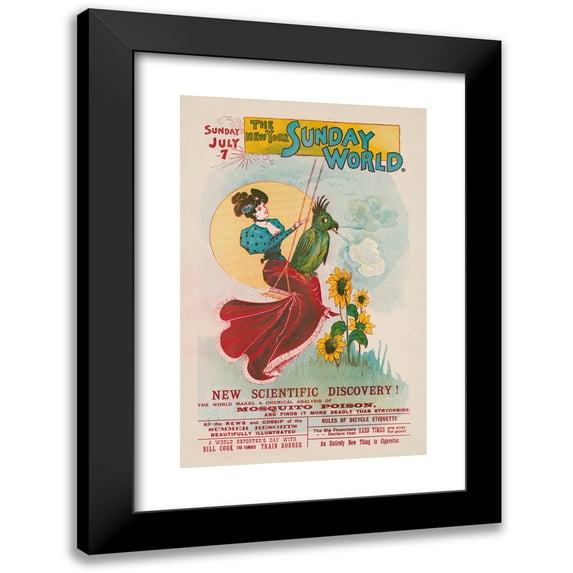 Anonymous 17x24 Black Modern Framed Museum Art Print Titled - Illustration of a Woman, on a Swing, with a Large Bird Sitting on Her Lap Smoking a Cigar (1896)