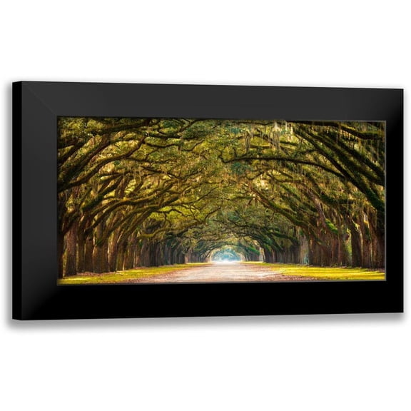 Anonymous 18x11 Black Modern Framed Museum Art Print Titled - Path lined with oak trees