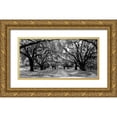 thumbnail image 1 of Anonymous 18x11 Gold Ornate Wood Framed with Double Matting Museum Art Print Titled - Avenue of oaks, South Carolina, 1 of 4