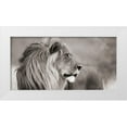 thumbnail image 1 of Anonymous 18x11 White Modern Wood Framed Museum Art Print Titled - Male lion, Namibia (detail, BW), 1 of 4