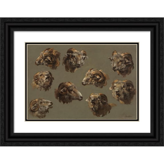 Anonymous 18x14 Black Ornate Wood Framed Double Matted Museum Art Print Titled - Studies of Ram Heads (1700s)